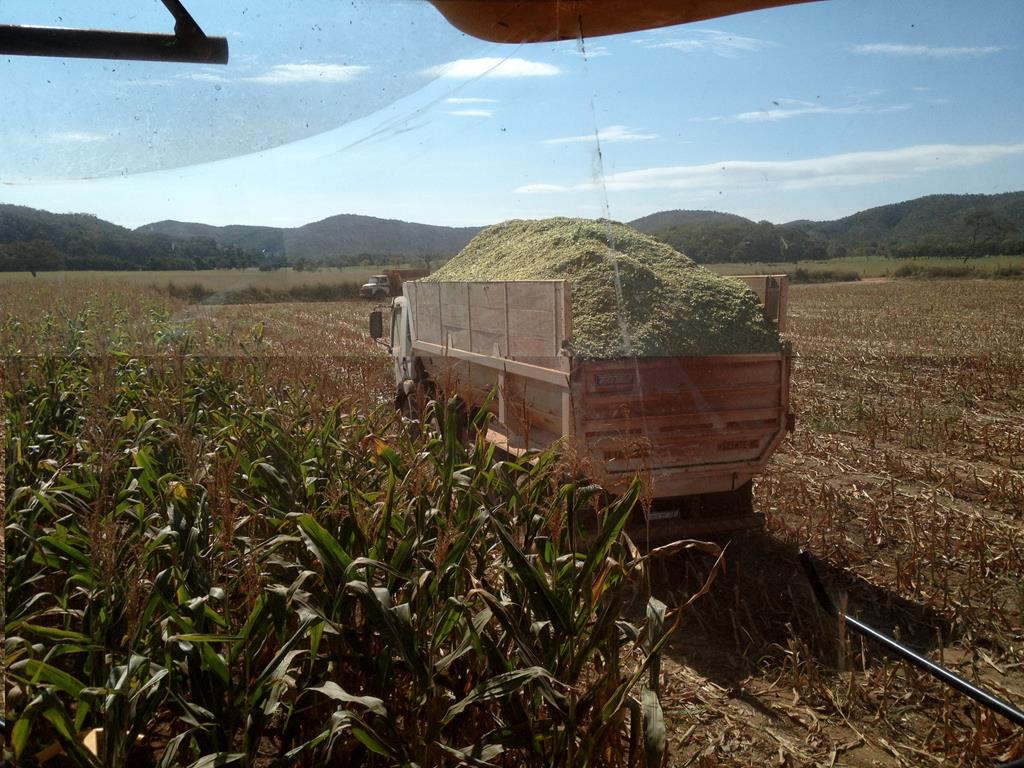 photodune-1860048-professional-team-xs