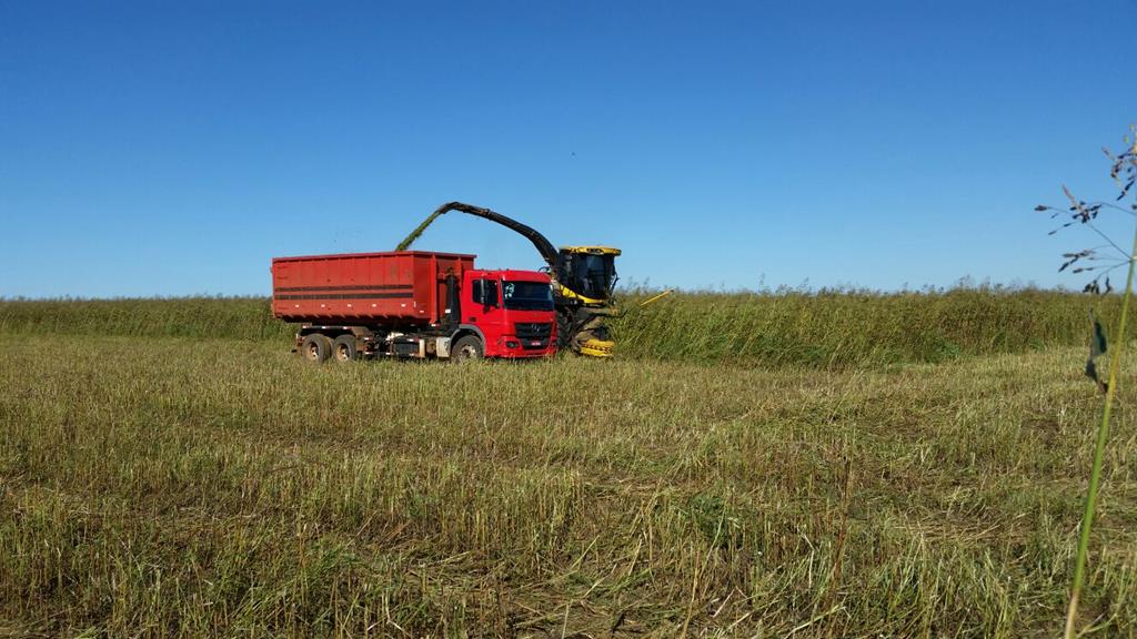 photodune-1860048-professional-team-xs